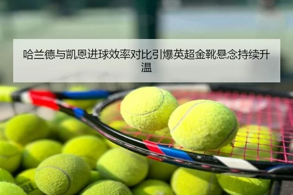 哈兰德与凯恩进球效率对比引爆英超金靴悬念持续升温