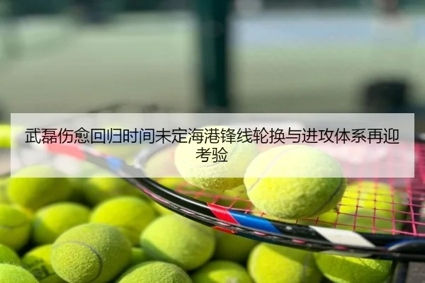 武磊伤愈回归时间未定海港锋线轮换与进攻体系再迎考验